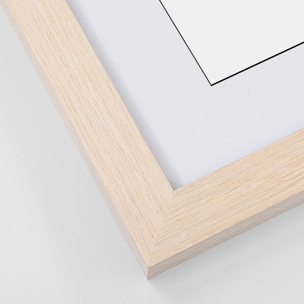 Home Straight! Horse Racing Courses of the UK and Ireland (2025)