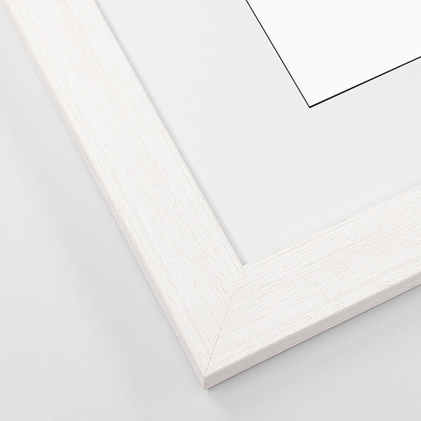 Home Straight! Horse Racing Courses of the UK and Ireland (2025)