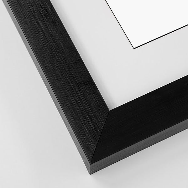 Home Straight! Horse Racing Courses of the UK and Ireland (2025)