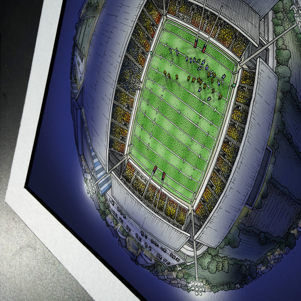 The York LNER Community Stadium Globe - York Knights | York Valkyrie